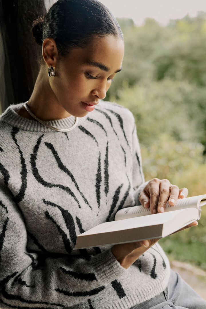 Pull zèbre gris